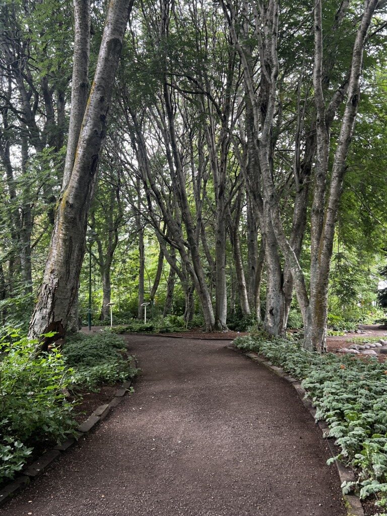 Akureyri, Botanical Gardens, Iceland