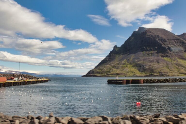 Isafjordur Cruise Port: Your Ultimate Guide to Exploring This Hidden Gem in Iceland