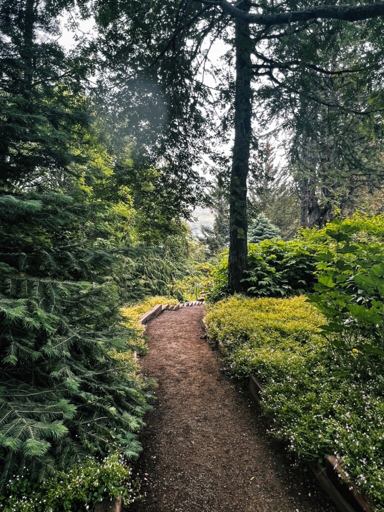 Akureryi botanical gardens