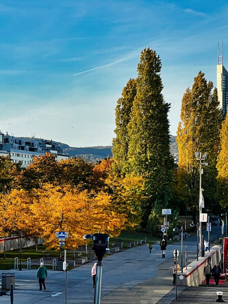 Danube River, in Vienna Austria