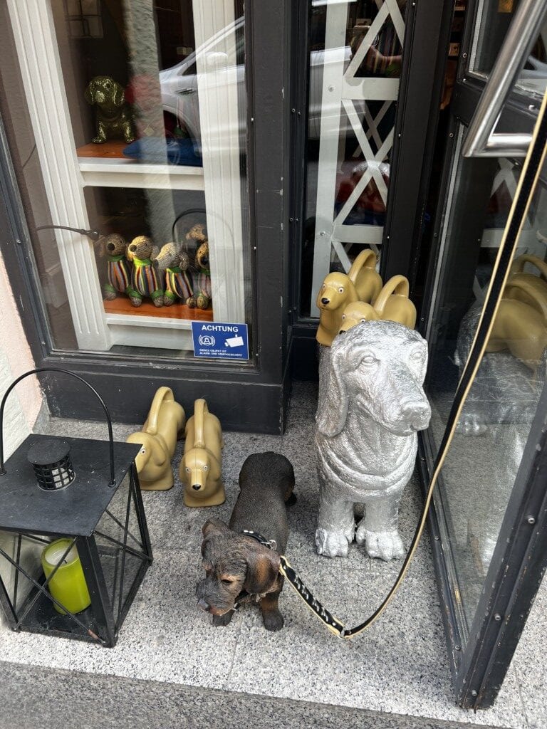 Dachshund Museum (Dackelmuseum)