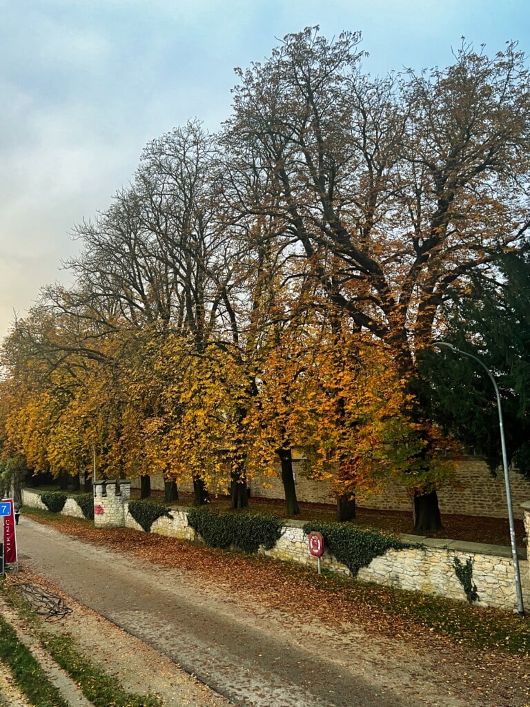 stone bridge on the danube river of Regensburg, Germany