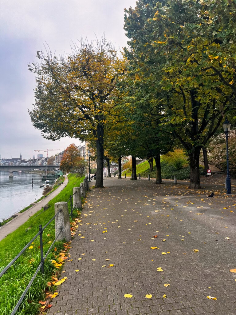 Rhine River in Basel Switzerland in the Fall