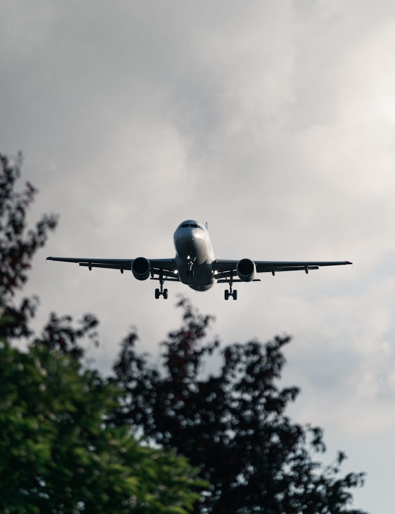 A commercial airplane approaches landing amidst cloudy skies and silhouetted trees.