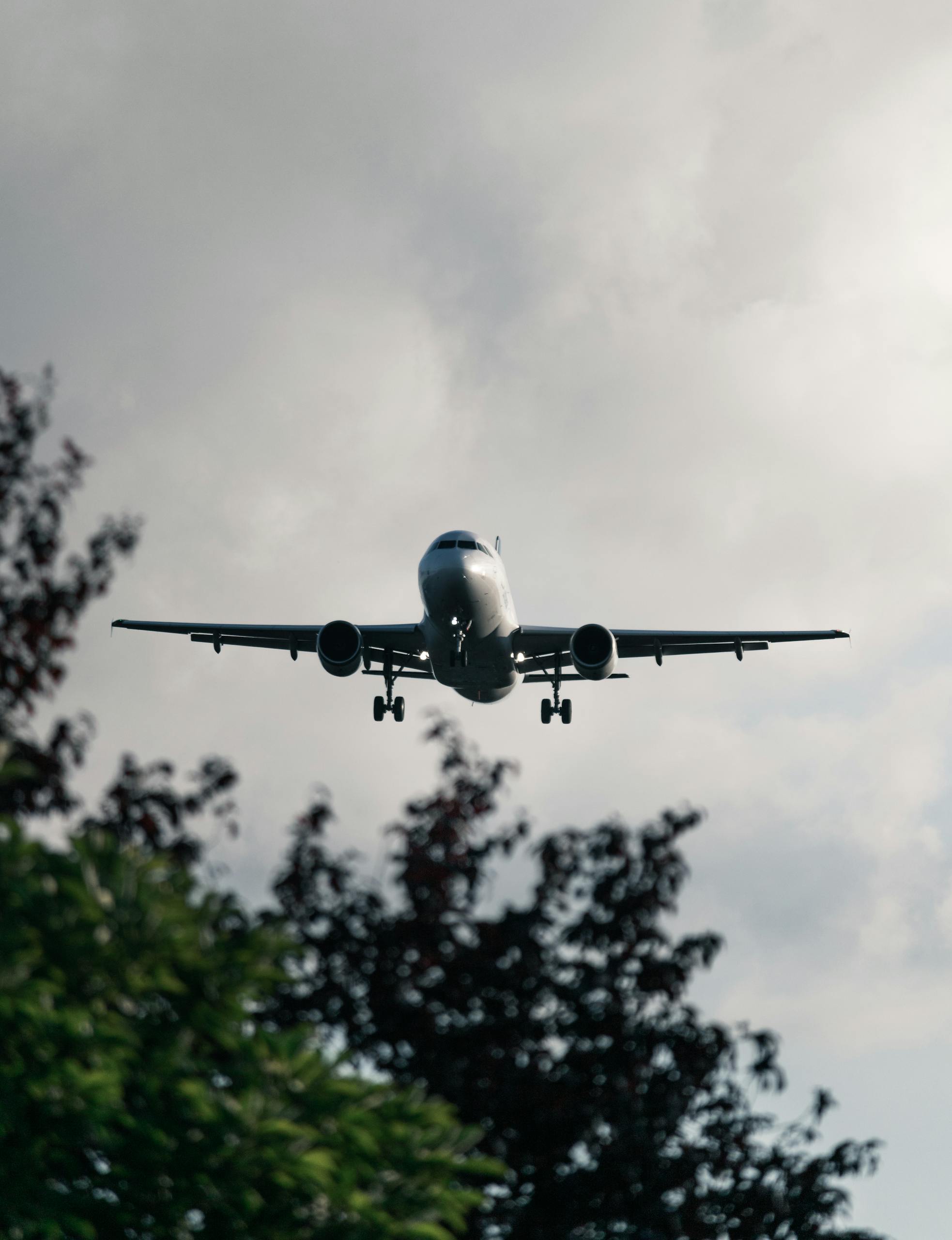 A commercial airplane approaches landing amidst cloudy skies and silhouetted trees.